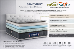 SpineSaver Deluxe Mattress